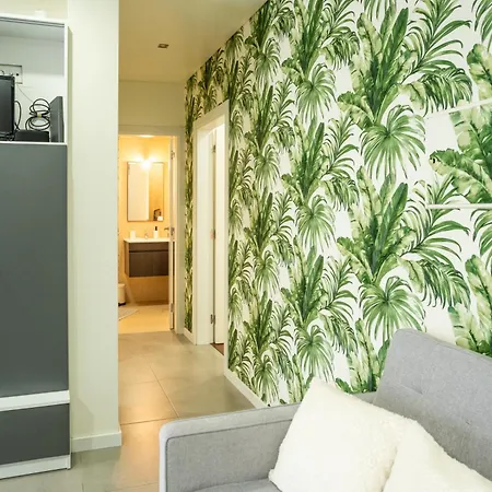 Barca Acustica Appartamento Nazaré